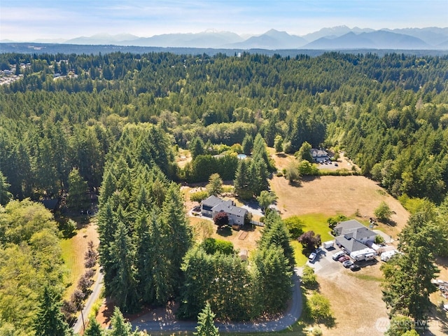 12411 Central Valley Rd NE, Poulsbo, WA 98370 - photo 34