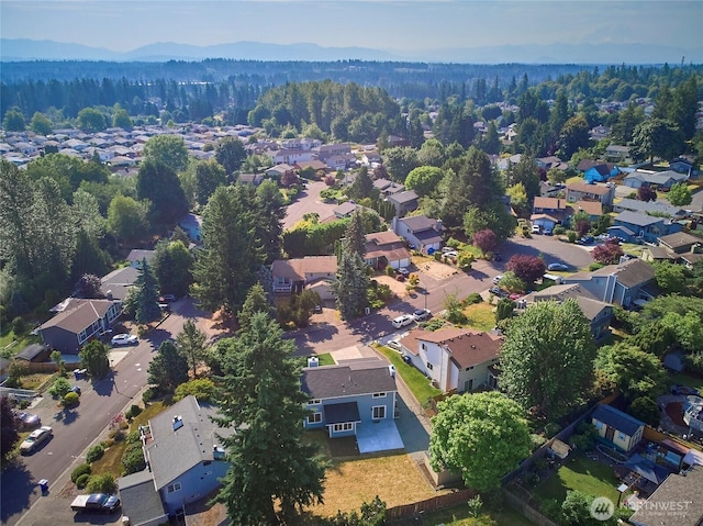 27409 146th Ave SE, Kent, WA 98042 - aerial perspective of suburban area with a forest