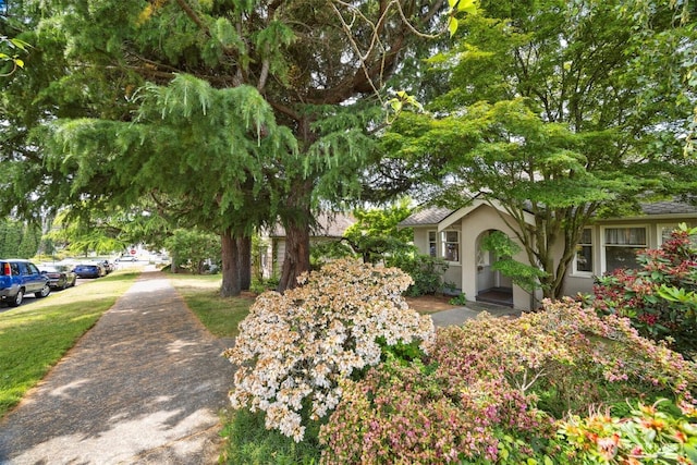 1100 12th St, Bellingham, WA 98225 - photo 7