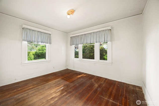 1100 12th St, Bellingham, WA 98225 - photo 21