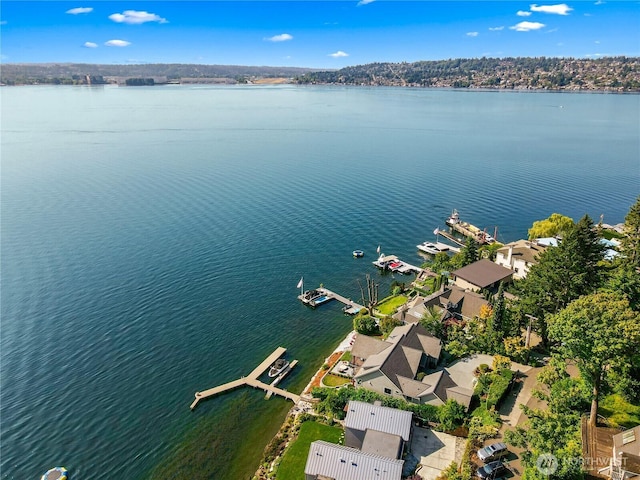 8440 Benotho Pl, Mercer Island, WA 98040 - aerial view of residential area with a nearby body of water