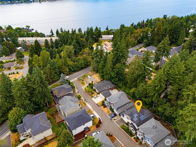 11316 SE 56th Ct, Bellevue, WA 98006 - photo 40