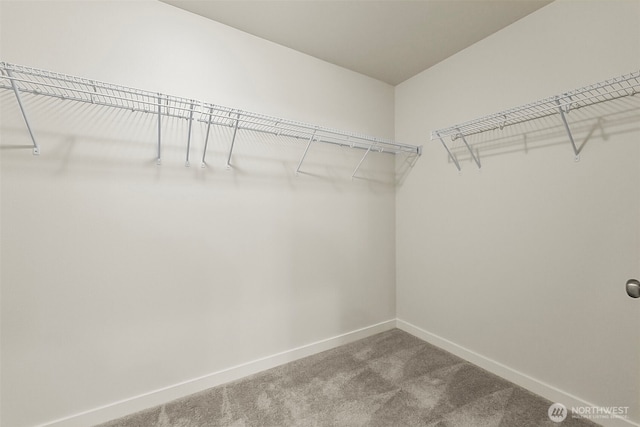 9018 Viola St SE, Tumwater, WA 98501 - walk in closet featuring carpet