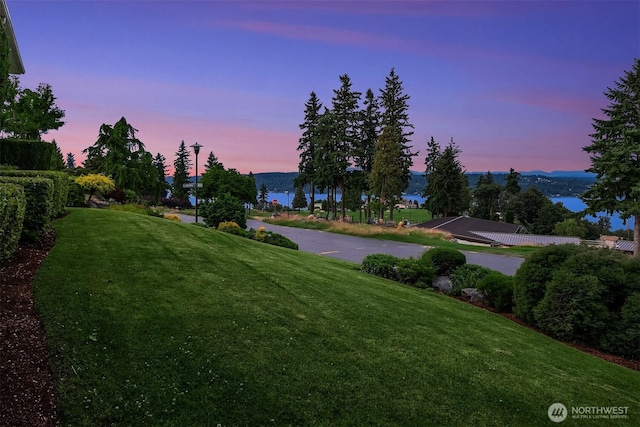 7761 Lakemont Dr NE, Seattle, WA 98115 - yard at dusk with a yard
