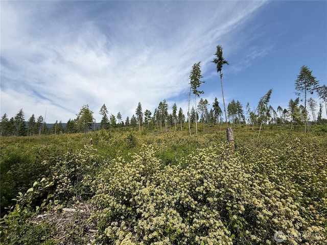0LOT1 Rockabye Ln, Curlew, WA 99118