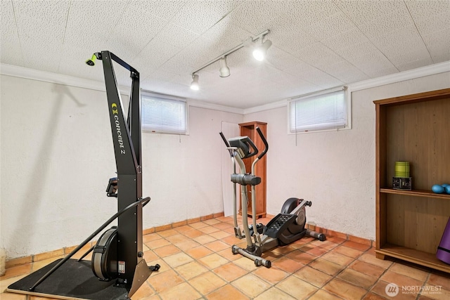 5325 Monta Vista Dr E, Edgewood, WA 98372 - workout area with track lighting, ornamental molding, and tile patterned flooring