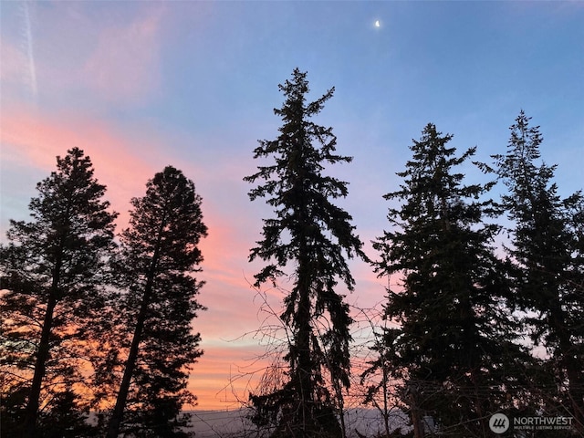 5325 Monta Vista Dr E, Edgewood, WA 98372 - view of nature at dusk