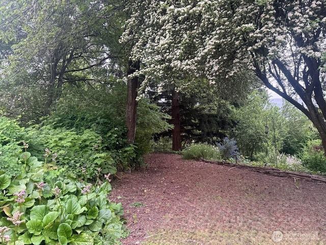 5325 Monta Vista Dr E, Edgewood, WA 98372 - view of nature
