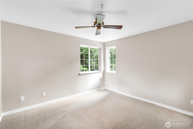 1628 118th Ave SE Unit F316, Bellevue, WA 98005 - carpeted spare room with ceiling fan and baseboards