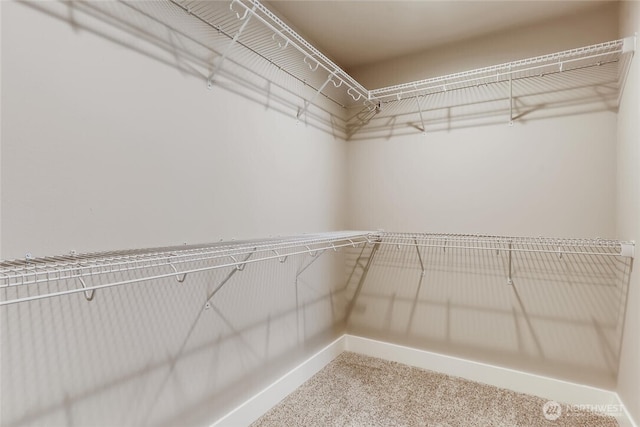 411 205th St SW Unit A, Lynnwood, WA 98036 - spacious closet featuring carpet flooring