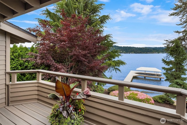 4406 193rd Ave SE, Issaquah, WA 98027 - photo 13