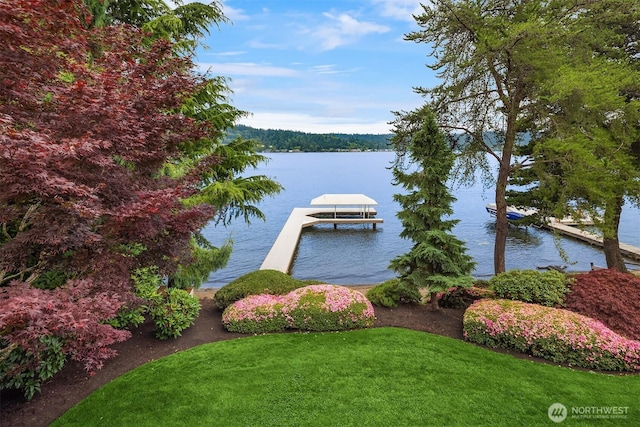 4406 193rd Ave SE, Issaquah, WA 98027 - photo 29