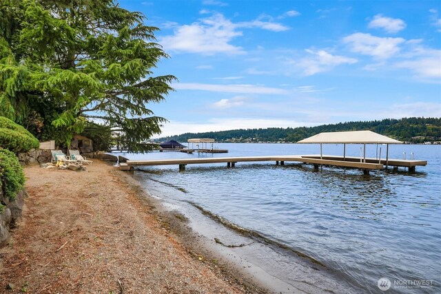 4406 193rd Ave SE, Issaquah, WA 98027 - photo 32