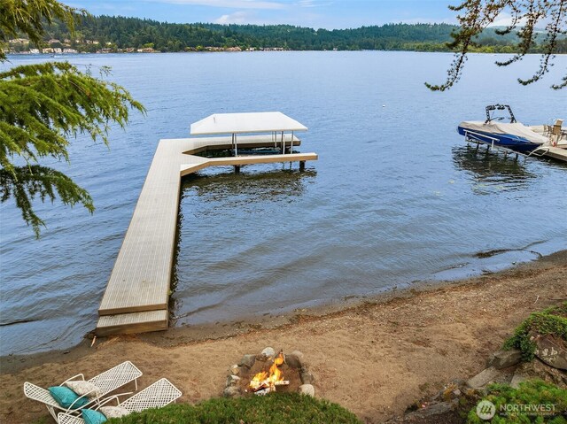 4406 193rd Ave SE, Issaquah, WA 98027 - photo 31