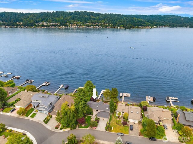 4406 193rd Ave SE, Issaquah, WA 98027 - photo 39