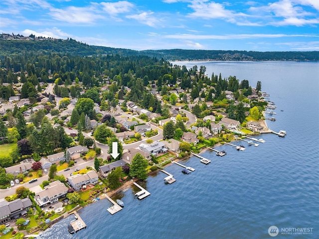 4406 193rd Ave SE, Issaquah, WA 98027 - photo 40