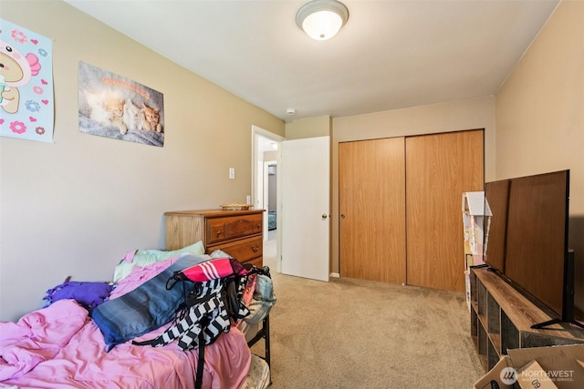 17803 149th St SE, Monroe, WA 98272 - photo 12