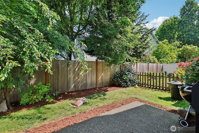 17803 149th St SE, Monroe, WA 98272 - photo 15