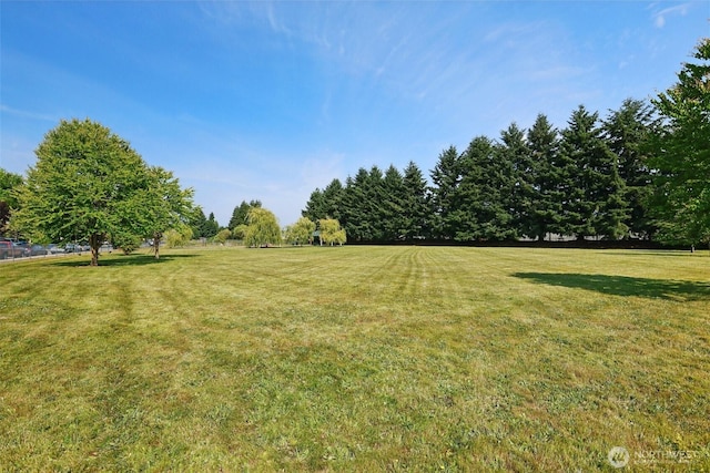 17803 149th St SE, Monroe, WA 98272 - photo 18