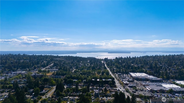 9228 21st Ave SW, Seattle, WA 98106 - aerial view of a large body of water