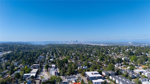 9228 21st Ave SW, Seattle, WA 98106 - drone / aerial view