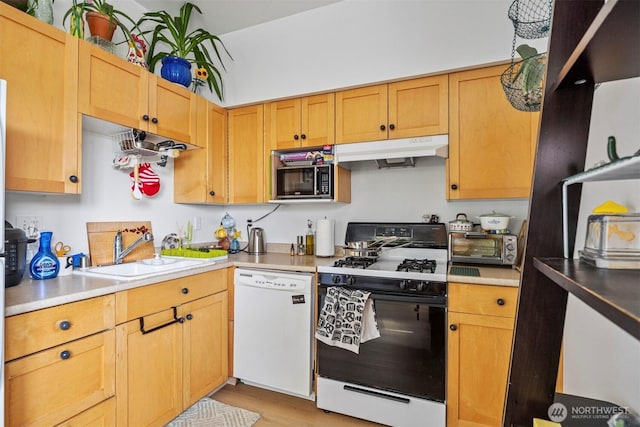 4020 Byron Ave, Bellingham, WA 98229 - kitchen with dishwasher, black range with gas stovetop, under cabinet range hood, light wood-style flooring, and light countertops