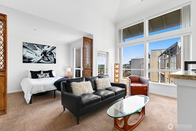 225 Logan Ave S Unit B355, Renton, WA 98057 - carpeted living room with baseboards and a high ceiling