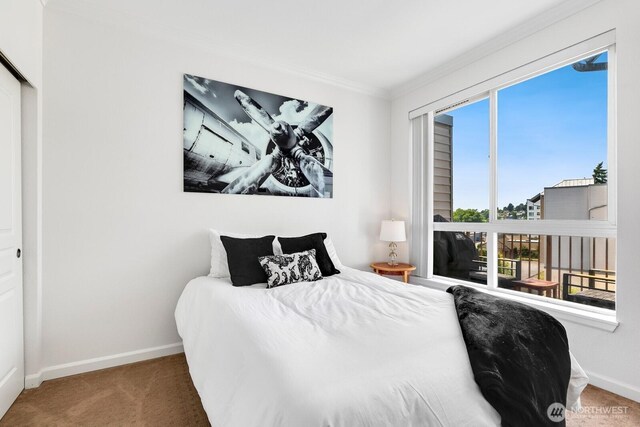 225 Logan Ave S Unit B355, Renton, WA 98057 - carpeted bedroom with baseboards and crown molding