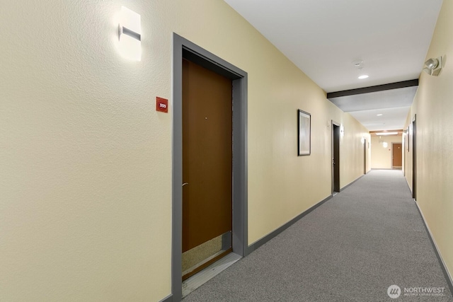 225 Logan Ave S Unit B355, Renton, WA 98057 - hallway featuring carpet floors, elevator, and recessed lighting