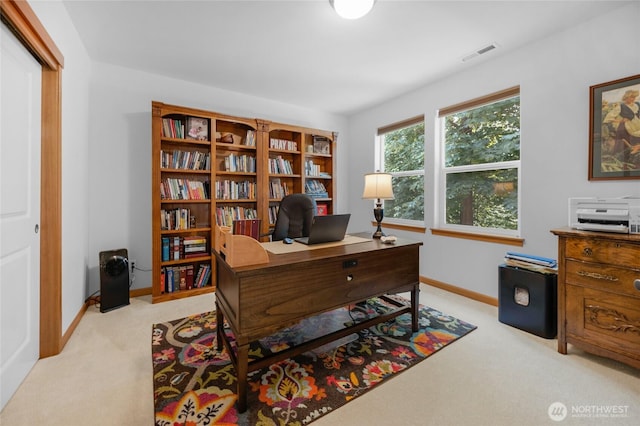 17356 Red Hawk Ct, Mount Vernon, WA 98274 - office area with light colored carpet and baseboards