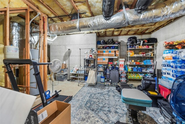 17356 Red Hawk Ct, Mount Vernon, WA 98274 - view of unfinished basement