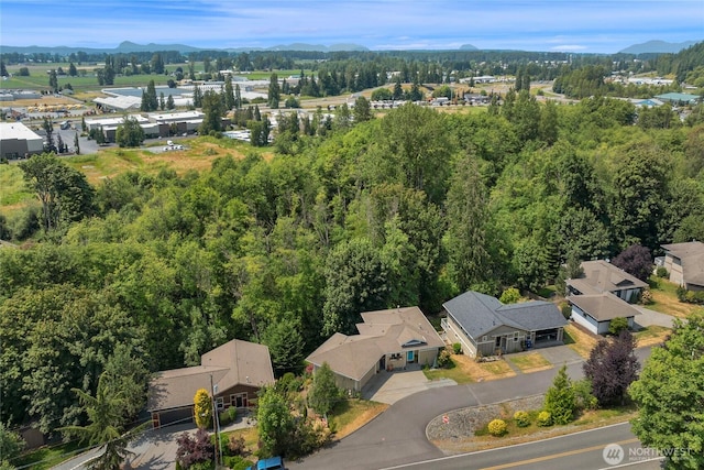 17356 Red Hawk Ct, Mount Vernon, WA 98274 - aerial perspective of suburban area with a mountainous background