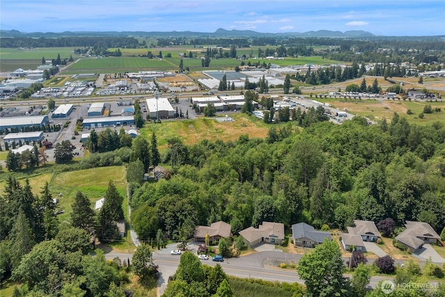 17356 Red Hawk Ct, Mount Vernon, WA 98274 - view of property location featuring a mountain backdrop