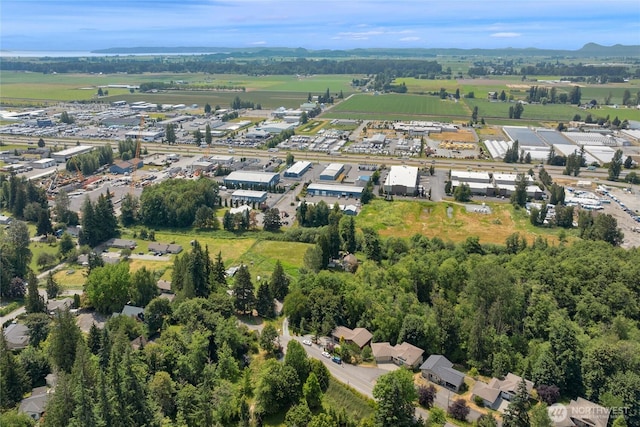 17356 Red Hawk Ct, Mount Vernon, WA 98274 - aerial view of property and surrounding area