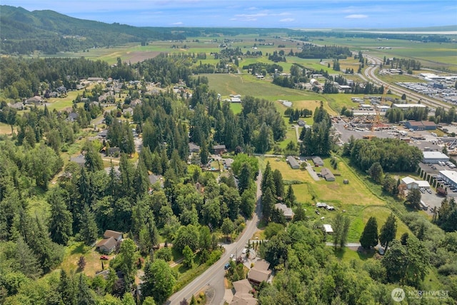 17356 Red Hawk Ct, Mount Vernon, WA 98274 - aerial view of property and surrounding area
