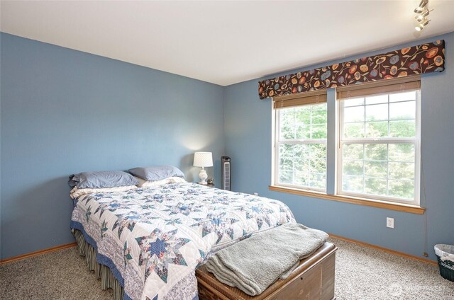 2003 88th Ave W, University Place, WA 98466 - bedroom featuring carpet floors