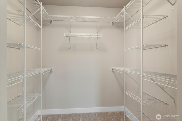 10828 Bay Meadows Ln, Burlington, WA 98233 - photo 20