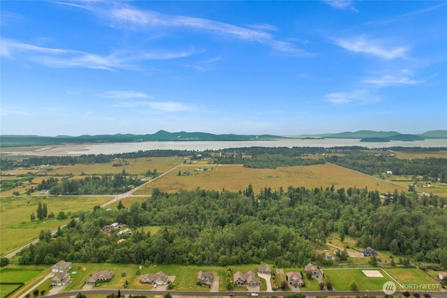 10828 Bay Meadows Ln, Burlington, WA 98233 - photo 29