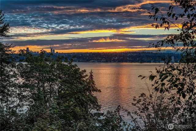 2425 Evergreen Point Rd, Medina, WA 98039 - water view