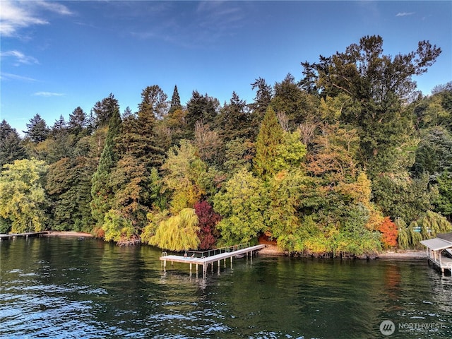 2425 Evergreen Point Rd, Medina, WA 98039 - water view featuring a boat dock