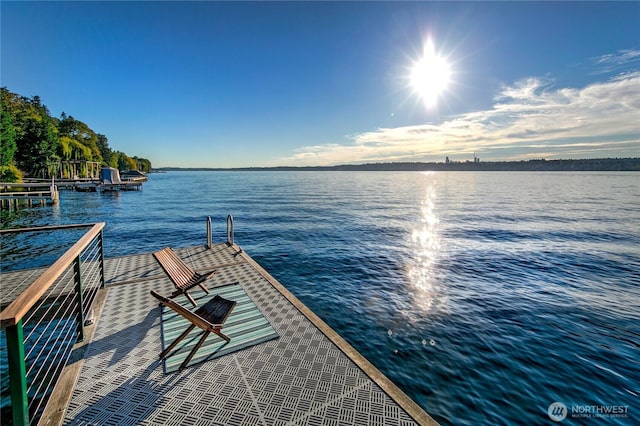 2425 Evergreen Point Rd, Medina, WA 98039 - dock area with a water view