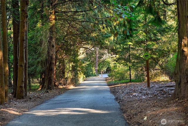 2425 Evergreen Point Rd, Medina, WA 98039 - view of property's community featuring a view of trees