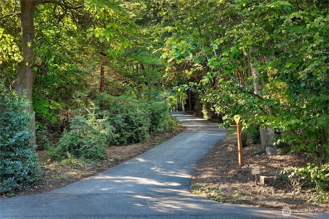 2425 Evergreen Point Rd, Medina, WA 98039 - view of community with a wooded view