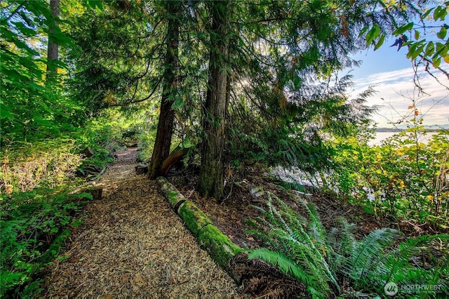 2425 Evergreen Point Rd, Medina, WA 98039 - view of yard