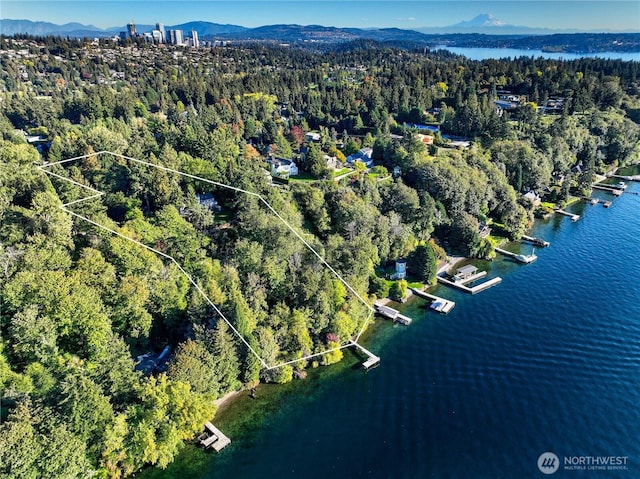 2425 Evergreen Point Rd, Medina, WA 98039 - aerial overview of property's location featuring property parcel outlined and a water and mountain view