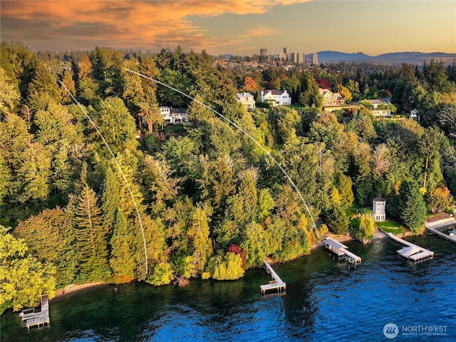 2425 Evergreen Point Rd, Medina, WA 98039 - aerial view of a nearby body of water and a forest