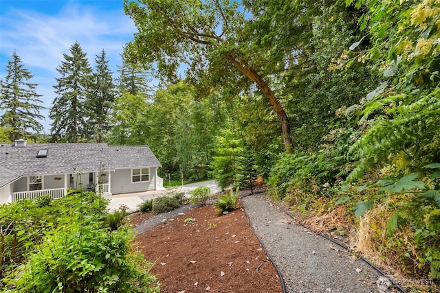 8324 Springridge Rd NE, Bainbridge Island, WA 98110 - photo 1