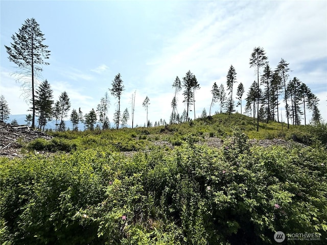0LOT3 Rockabye Ln, Curlew, WA 99118
