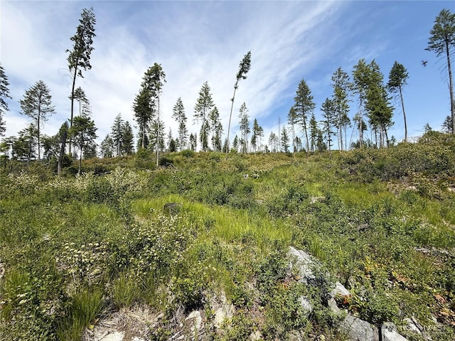 0LOT3 Rockabye Ln, Curlew, WA 99118