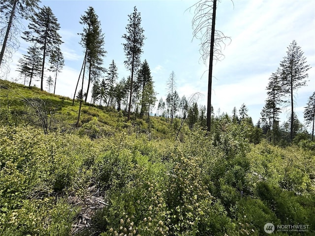0LOT3 Rockabye Ln, Curlew, WA 99118